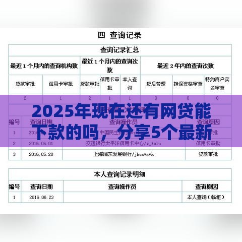 2025年现在还有网贷能下款的吗，分享5个最新征信花找第三方担保贷款平台