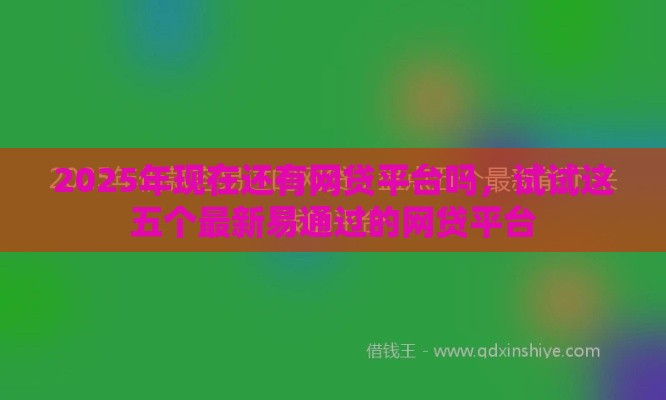 2025年现在还有网贷平台吗,试试这五个最新易通过的网贷平台 2025年现在还有网贷平台吗,试试这五个最新易通过的网贷平台