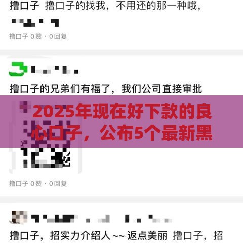 2025年现在好下款的良心口子,公布5个最新黑户能借款的平台 2025年现在好下款的良心口子,公布5个最新黑户能借款的平台