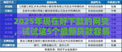 2025年现在好下款的网贷，试试这5个最新贷款容易过的平台