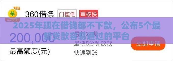2025年现在借钱都不下款，公布5个最新贷款容易通过的平台