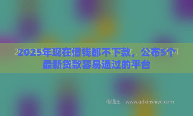 2025年现在借钱都不下款，公布5个最新贷款容易通过的平台