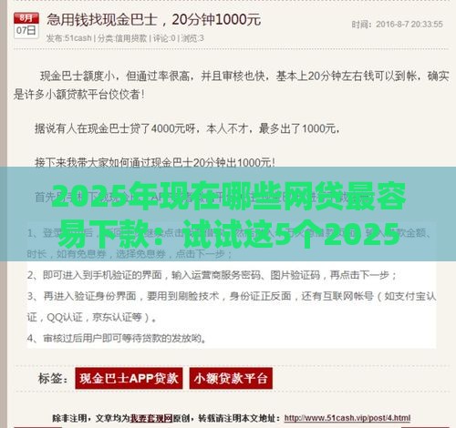 2025年现在哪些网贷最容易下款：试试这5个2025热门高利贷贷款平台