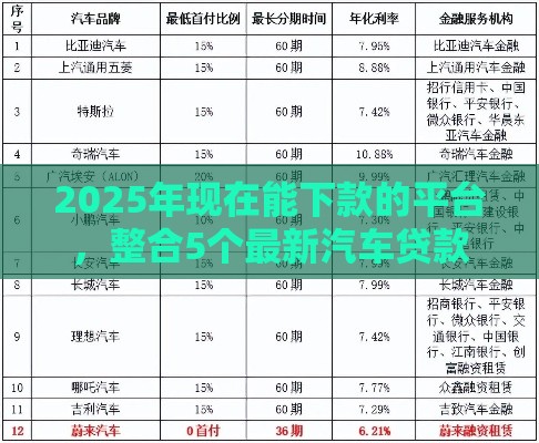 2025年现在能下款的平台，整合5个最新汽车贷款平台