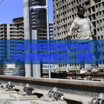 2025年现在能下款的平台有哪些软件，看看这五个最新能借20000的贷款平台