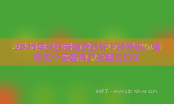 2025年现在去哪贷款好下款快呢，推荐五个最新黑户短期贷口子