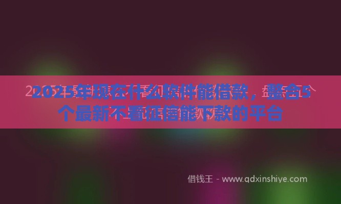 2025年现在什么软件能借款，整合5个最新不看征信能下款的平台