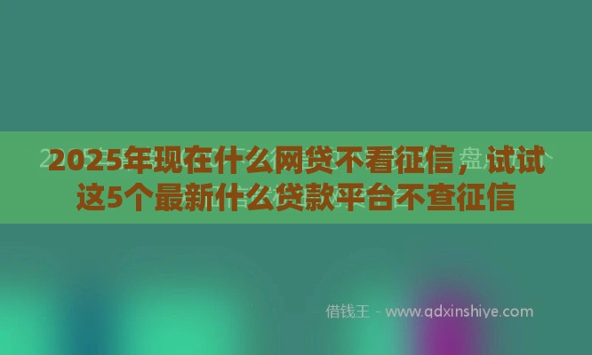 2025年现在什么网贷不看征信，试试这5个最新什么贷款平台不查征信