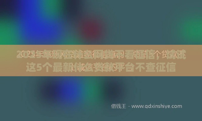 2025年现在什么网贷不看征信，试试这5个最新什么贷款平台不查征信