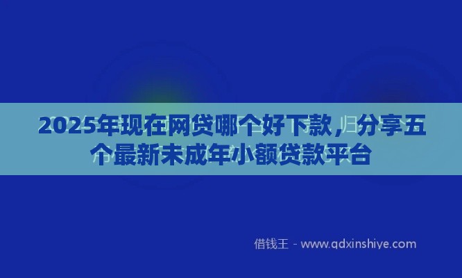 2025年现在网贷哪个好下款，分享五个最新未成年小额贷款平台