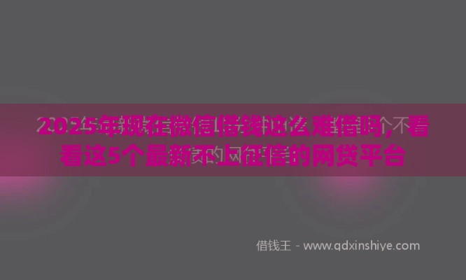 2025年现在微信借钱这么难借吗，看看这5个最新不上征信的网贷平台