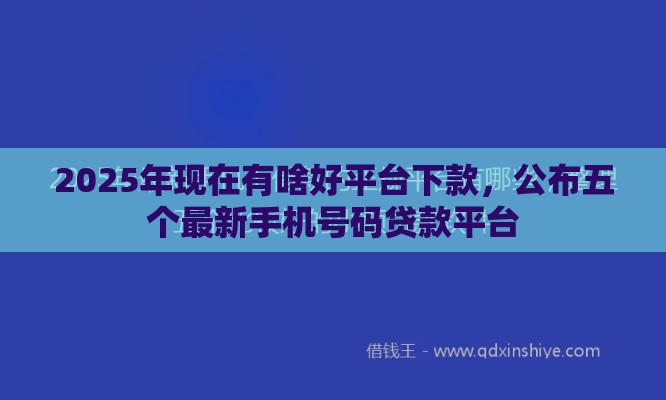 2025年现在有啥好平台下款，公布五个最新手机号码贷款平台