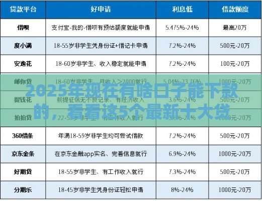 2025年现在有啥口子能下款的，看看这5个最新十大贷款平台