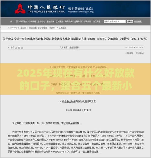 2025年现在有什么好放款的口子，整合五个最新小微企业网上贷款平台