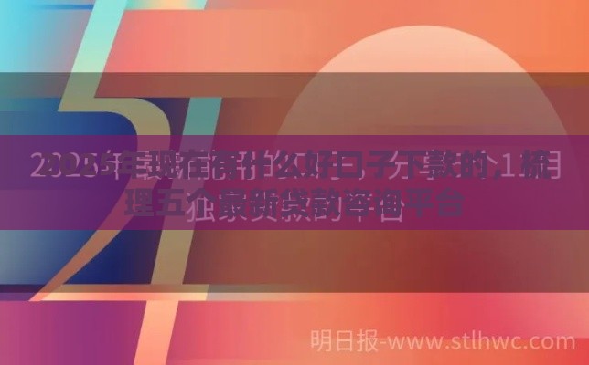 2025年现在有什么好口子下款的，梳理五个最新贷款咨询平台