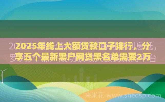 2025年线上大额贷款口子排行，分享五个最新黑户网贷黑名单需要2万能借款平台