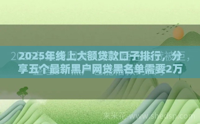 2025年线上大额贷款口子排行，分享五个最新黑户网贷黑名单需要2万能借款平台