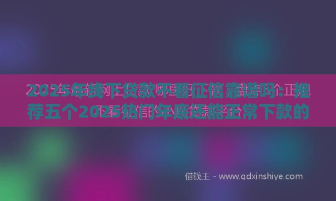 2025年线下贷款不看征信靠谱吗：推荐五个2025热门年底还能正常下款的平台