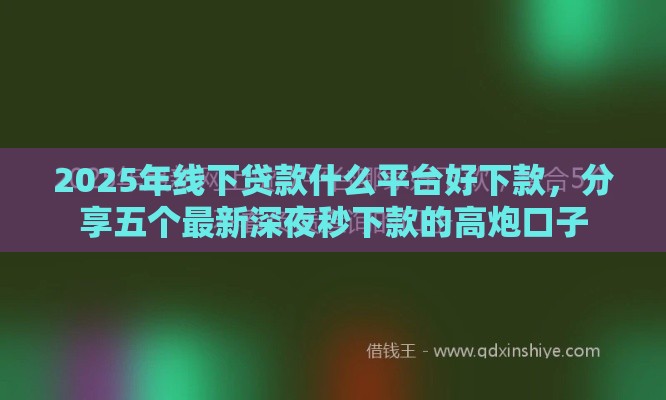 2025年线下贷款什么平台好下款，分享五个最新深夜秒下款的高炮口子