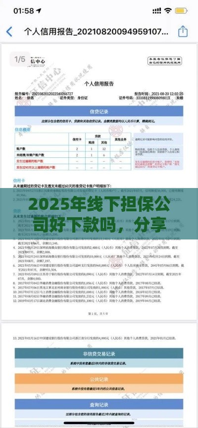 2025年线下担保公司好下款吗，分享五个最新评分不足征信花可以借的平台