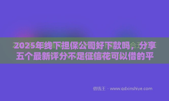 2025年线下担保公司好下款吗，分享五个最新评分不足征信花可以借的平台
