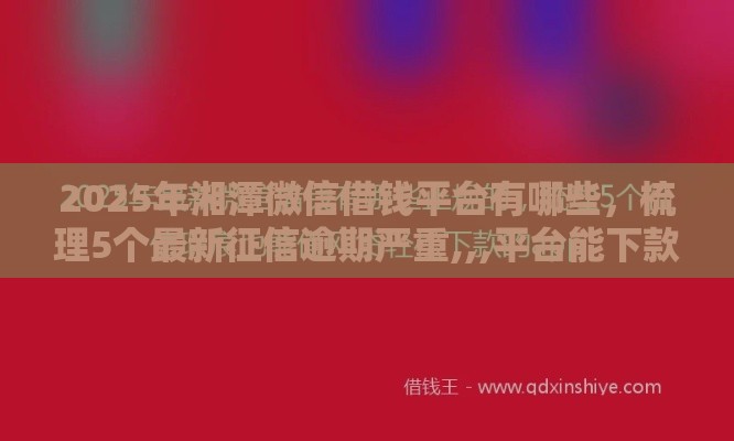 2025年湘潭微信借钱平台有哪些，梳理5个最新征信逾期严重,,,平台能下款