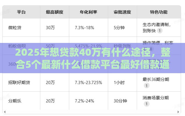 2025年想贷款40万有什么途径，整合5个最新什么借款平台最好借款通过