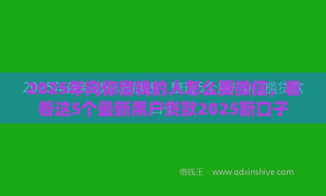 2025年向你借钱的人怎么要微信，看看这5个最新黑户贷款2025新口子