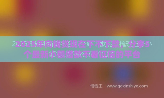 2025年向钱贷现在下不下款，分享5个最新小额借款不看征信的平台