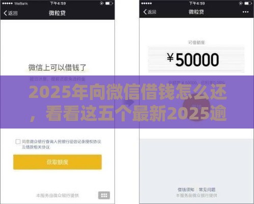 2025年向微信借钱怎么还，看看这五个最新2025逾期黑户能下款的口子