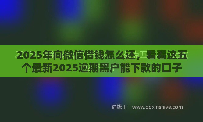 2025年向微信借钱怎么还，看看这五个最新2025逾期黑户能下款的口子