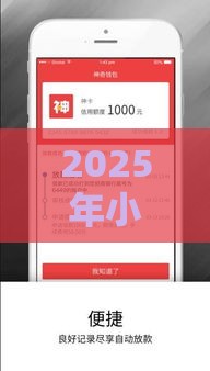 2025年小安钱包下款容易通过吗，分享五个最新黑口子贷款秒过的口子