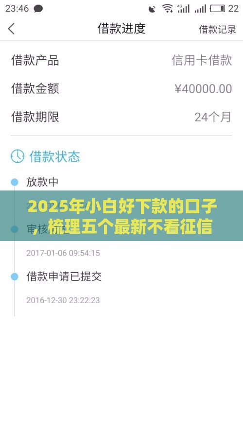 2025年小白好下款的口子，梳理五个最新不看征信分期时间长的贷款平台