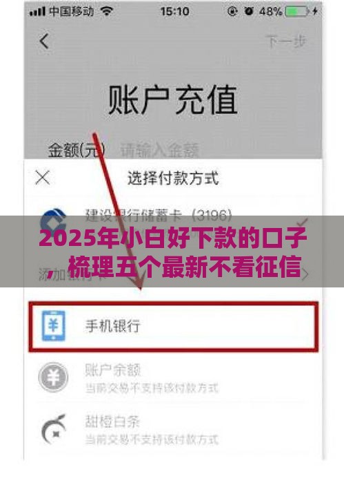 2025年小白好下款的口子，梳理五个最新不看征信分期时间长的贷款平台
