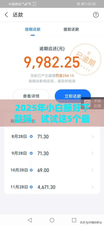 2025年小白鲸好下款吗，试试这5个最新当前逾期能下款的救命平台