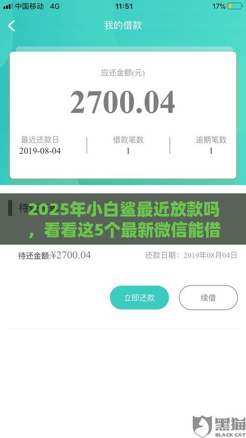 2025年小白鲨最近放款吗，看看这5个最新微信能借钱的平台