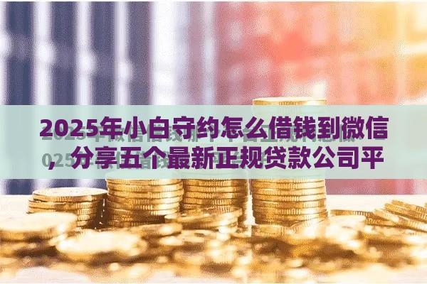2025年小白守约怎么借钱到微信，分享五个最新正规贷款公司平台