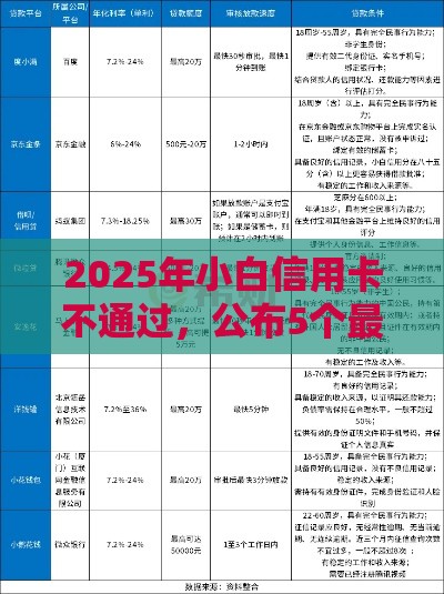 2025年小白信用卡不通过，公布5个最新借钱平台利息最低