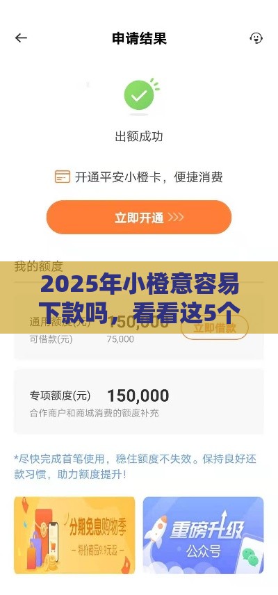 2025年小橙意容易下款吗，看看这5个最新借4万分48期平台