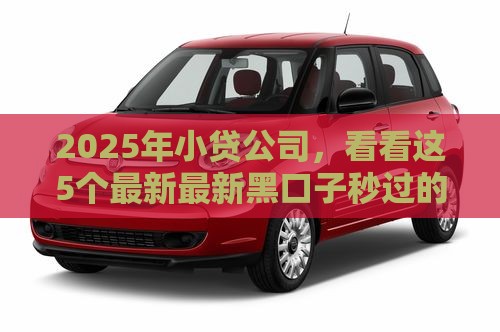 2025年小贷公司，看看这5个最新最新黑口子秒过的