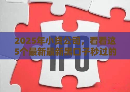 2025年小贷公司，看看这5个最新最新黑口子秒过的