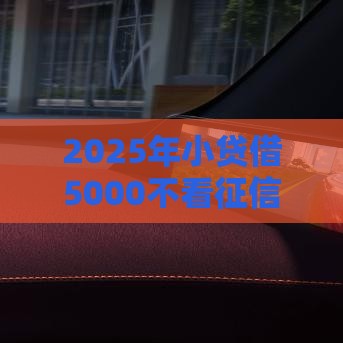 2025年小贷借5000不看征信：分享五个2025热门不用人脸识别的贷款平台