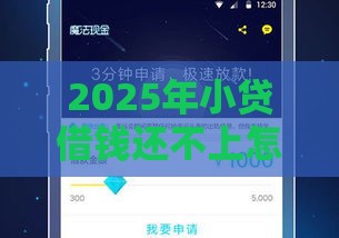2025年小贷借钱还不上怎么办，整合5个最新借款平台借钱不上征信