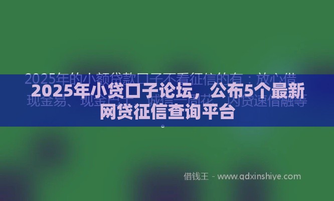 2025年小贷口子论坛，公布5个最新网贷征信查询平台