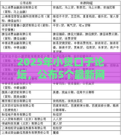 2025年小贷口子论坛，公布5个最新网贷征信查询平台