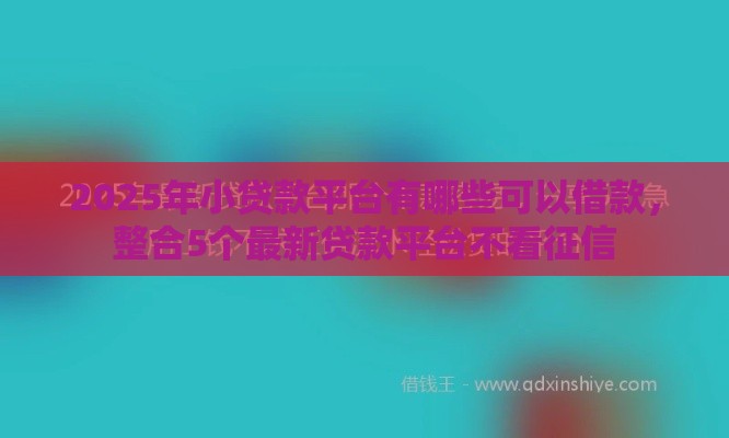 2025年小贷款平台有哪些可以借款，整合5个最新贷款平台不看征信