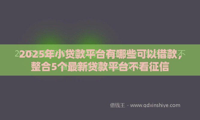 2025年小贷款平台有哪些可以借款，整合5个最新贷款平台不看征信