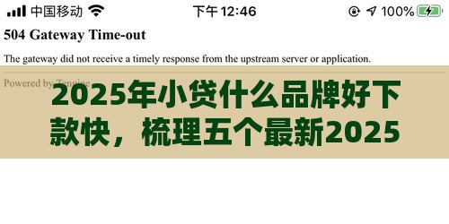 2025年小贷什么品牌好下款快，梳理五个最新2025黑花户借款平台