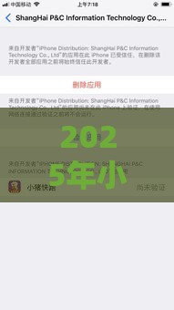 2025年小贷什么品牌好下款快，梳理五个最新2025黑花户借款平台