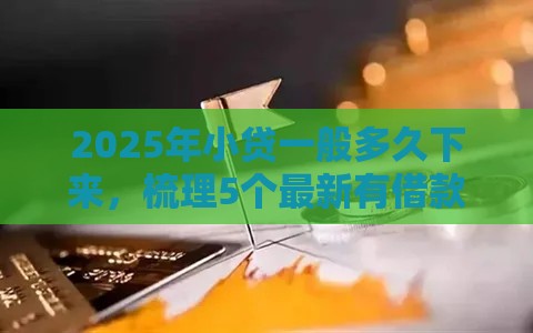 2025年小贷一般多久下来，梳理5个最新有借款平台黑户也能借